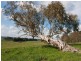 775 Mozart Road, Oberon NSW 2787