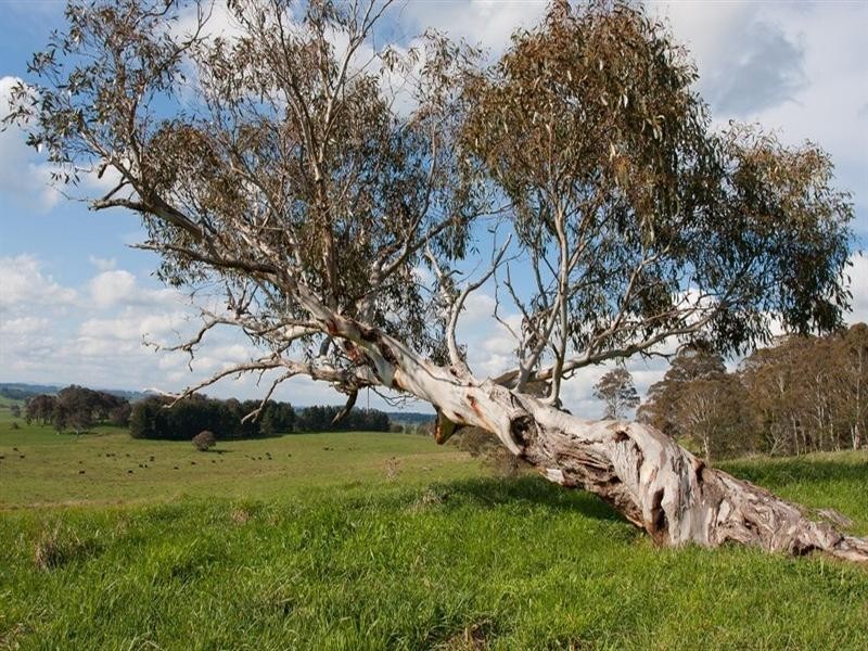 775 Mozart Road, Oberon NSW 2787
