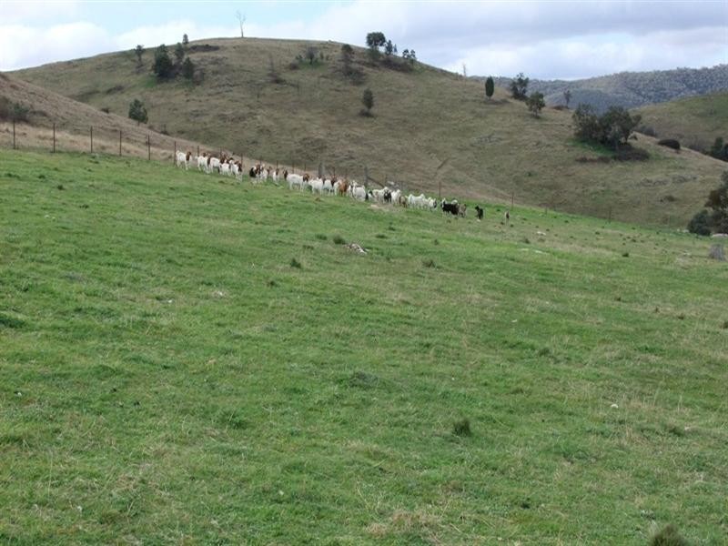 2483 Freemantle Road, Bathurst NSW 2795