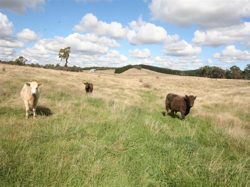 Part 354 Faugha Ballaugha Road, Oberon NSW 2787