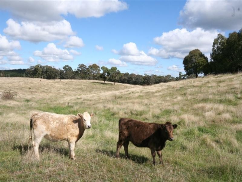 Part 354 Faugha Ballaugha Road, Oberon NSW 2787