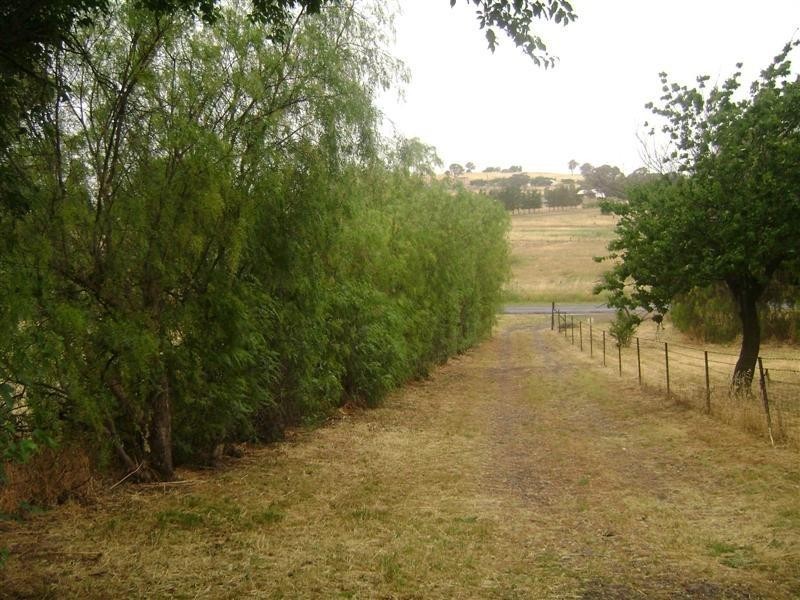 292 Purcell Drive, Woodstock NSW 2538