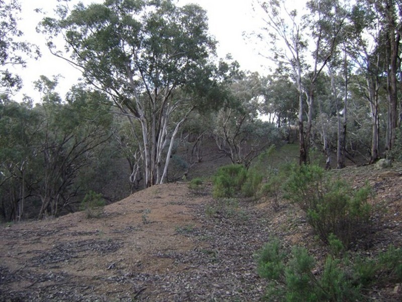 33 Blue Mantle Road, Cowra NSW 2794