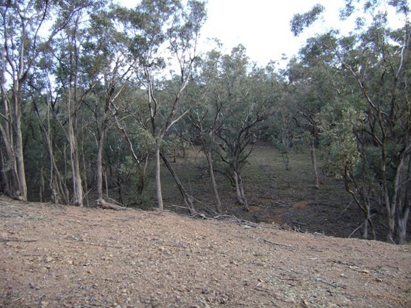 33 Blue Mantle Road, Cowra NSW 2794