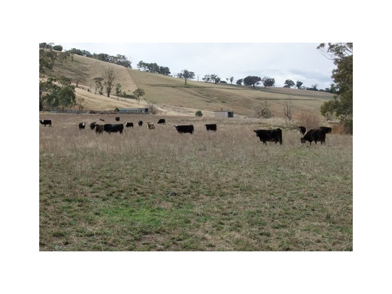 297 Wimbledon Road, Bathurst NSW 2795