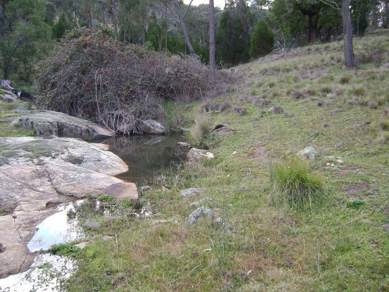 291 Blue Mantle Road, Wyangala NSW 2808