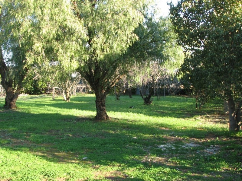 Lot 2 Thompson Street, Canowindra NSW 2804