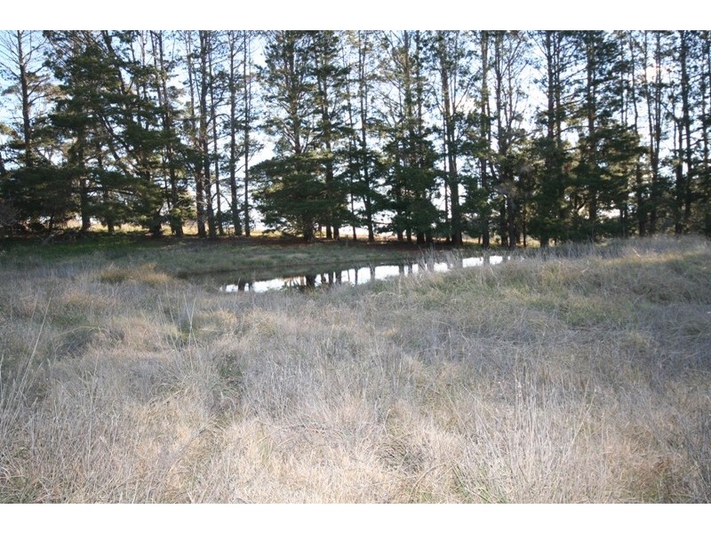 425 Mount David Road, Mount David NSW 2795