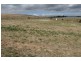 491 Evans Plains Road, Bathurst NSW 2795