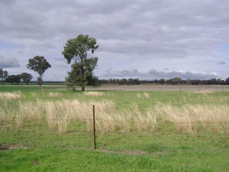 76 Noonbinna East Road, Cowra NSW 2794