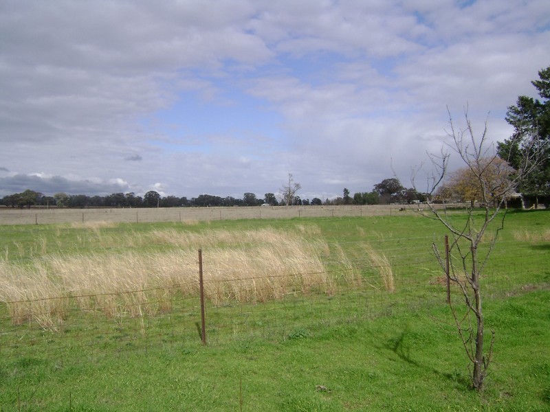 76 Noonbinna East Road, Cowra NSW 2794
