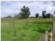 76 Noonbinna East Road, Cowra NSW 2794