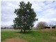 76 Noonbinna East Road, Cowra NSW 2794