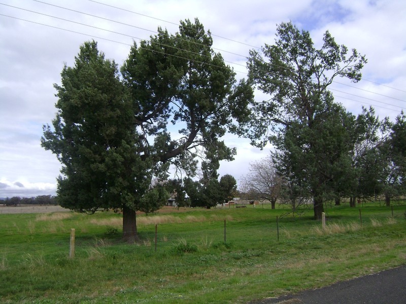 76 Noonbinna East Road, Cowra NSW 2794