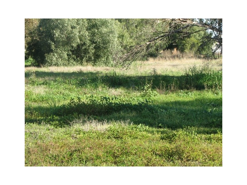 Lot 10 Pye Street, Eugowra NSW 2806