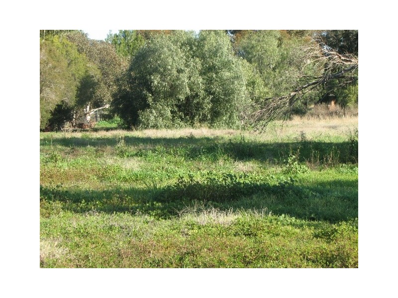 Lot 10 Pye Street, Eugowra NSW 2806