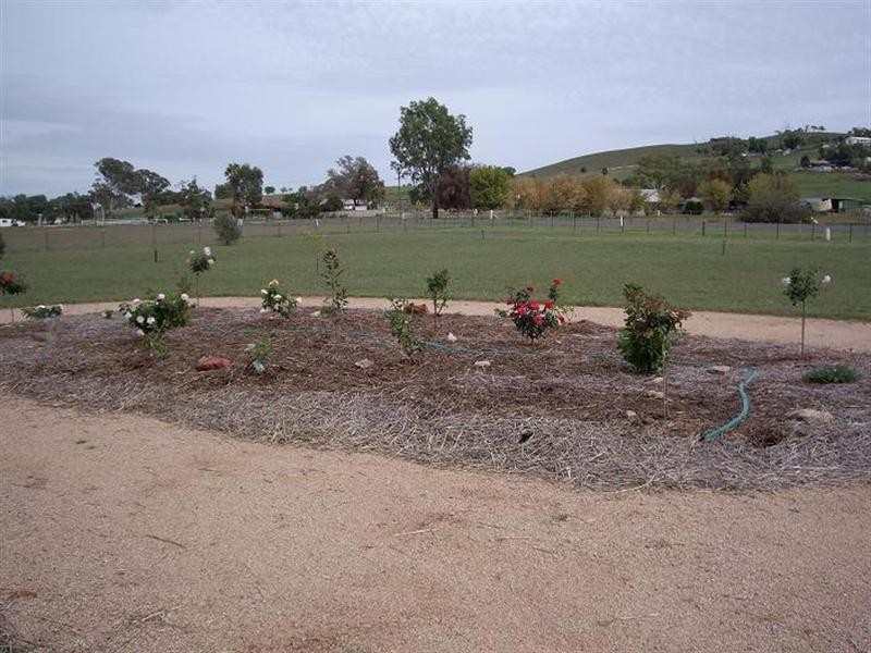 4195 Belubula Way, Canowindra NSW 2804