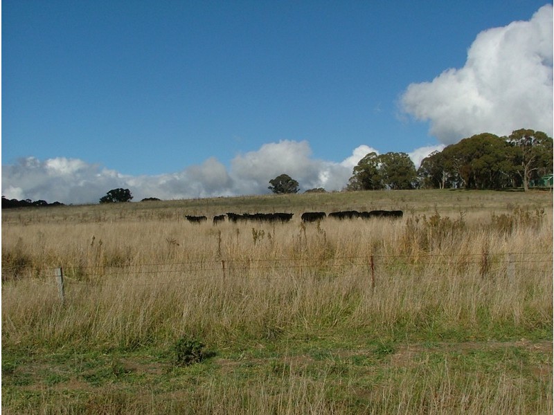 0 Walkom Road, Blayney NSW 2799