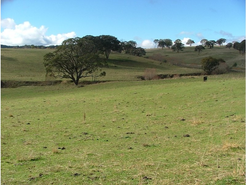 0 Walkom Road, Blayney NSW 2799