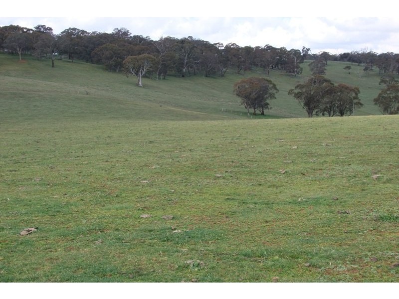 0 Walkom Road, Blayney NSW 2799