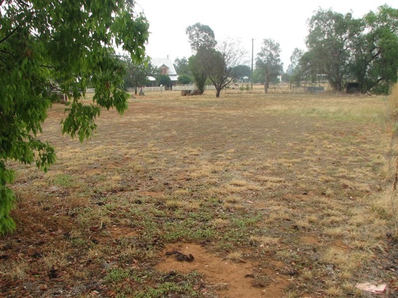 12 Thurburn Street, Wattamondara NSW 2794