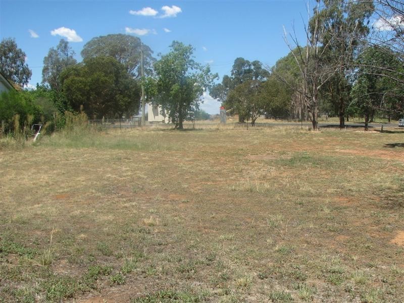 12 Thurburn Street, Wattamondara NSW 2794