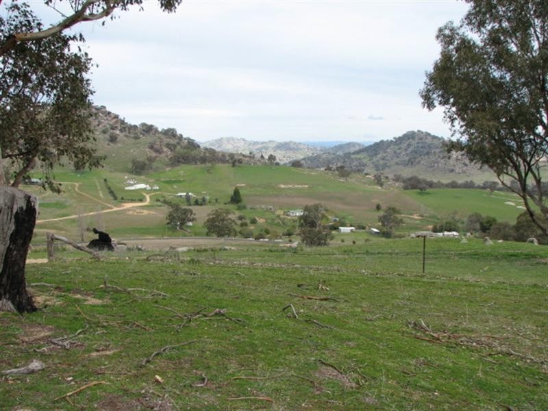95.3ha Mt McDonald Road, Cowra NSW 2794