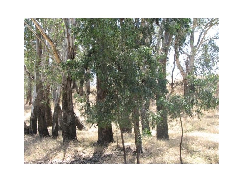 134 Flannerys Road, Wyangala NSW 2808