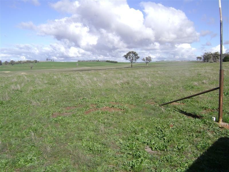 Lots 1 to 12 Wirrimah Road, Cowra NSW 2794