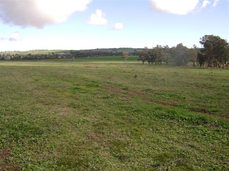 Lots 1 – 12 Wirrimah Road, Young NSW 2594