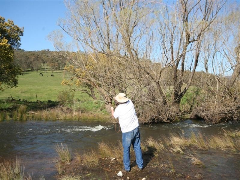 92 Arties Road, Oberon NSW 2787