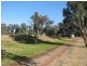 230 Conimbla Road, Cowra NSW 2794