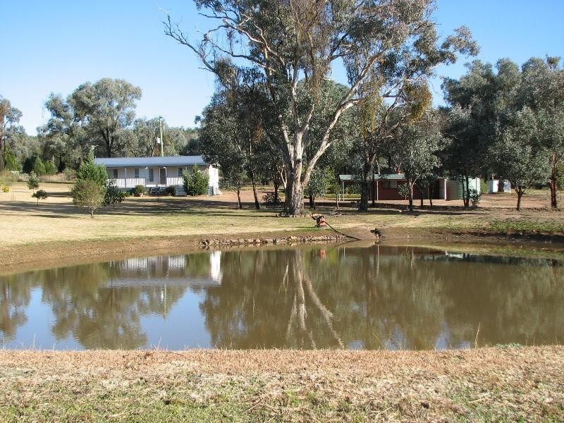 230 Conimbla Road, Cowra NSW 2794