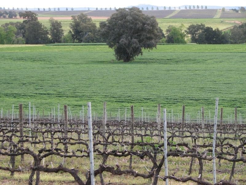 104 Carro Park Road, Cowra NSW 2794