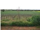 104 Carro Park Road, Cowra NSW 2794