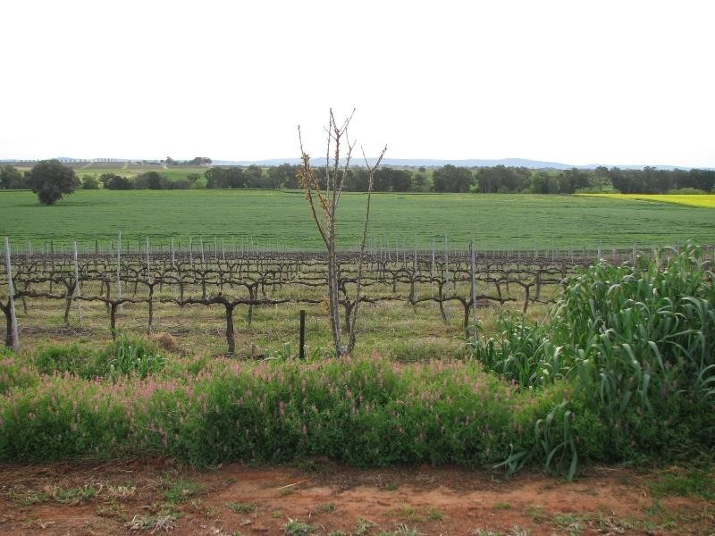 104 Carro Park Road, Cowra NSW 2794