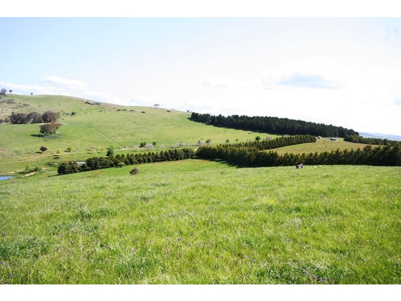 Lot 42 Purdons Lane, O’connell NSW 2795
