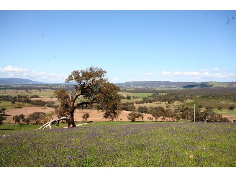 Lot 42 Purdons Lane, O’connell NSW 2795