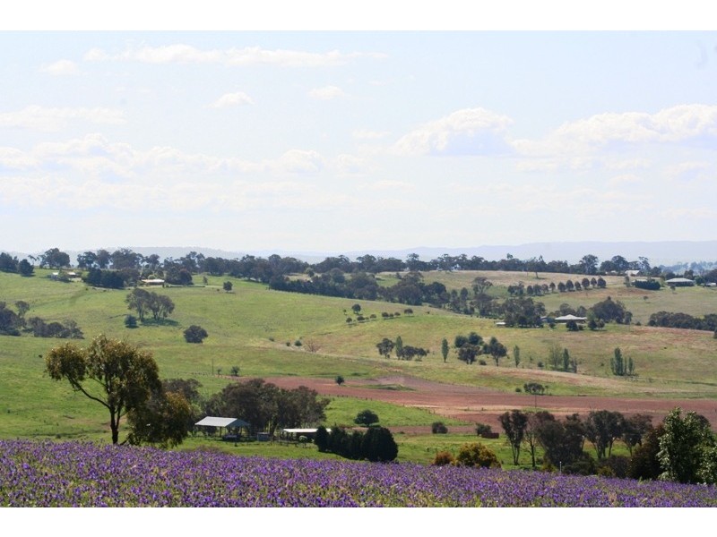 Lot 42 Purdons Lane, O’connell NSW 2795