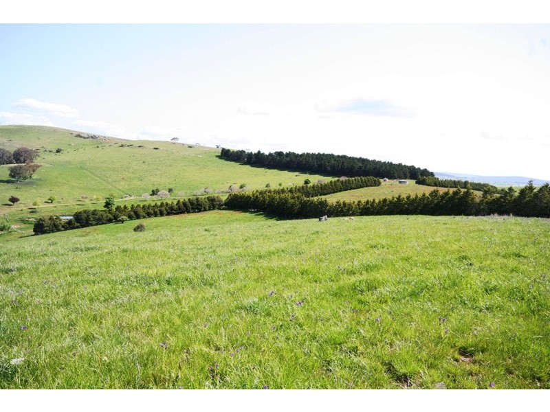 Lot 42 Purdons Lane, O’connell NSW 2795
