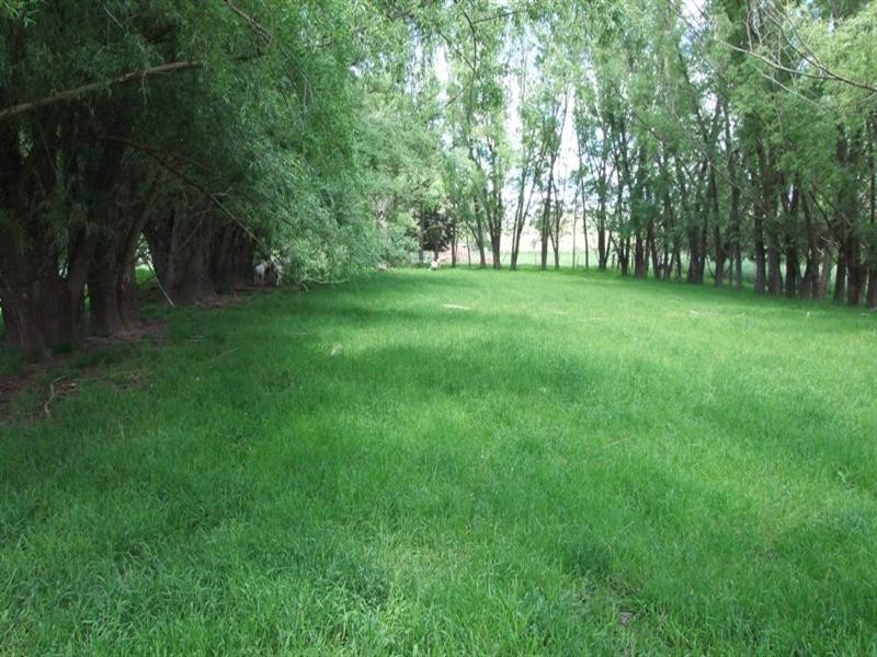 1-9 Campbells Road, Newbridge NSW 2795