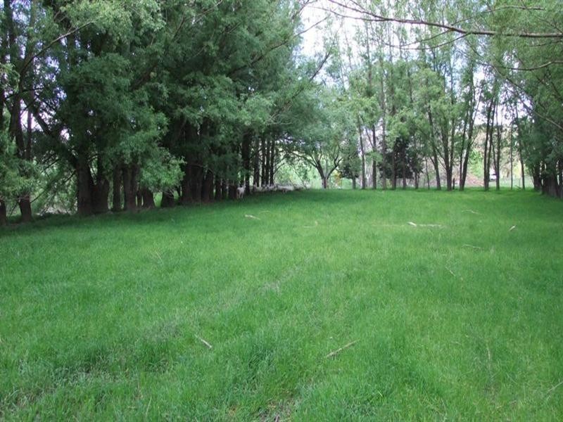 1-9 Campbells Road, Newbridge NSW 2795