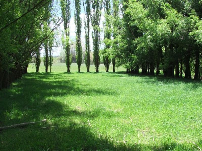 1-9 Campbells Road, Newbridge NSW 2795