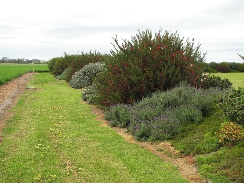 1826 North Logan Road, Cowra NSW 2794