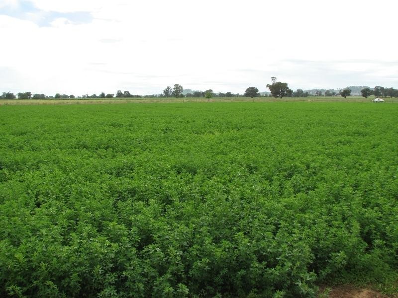 1826 North Logan Road, Cowra NSW 2794