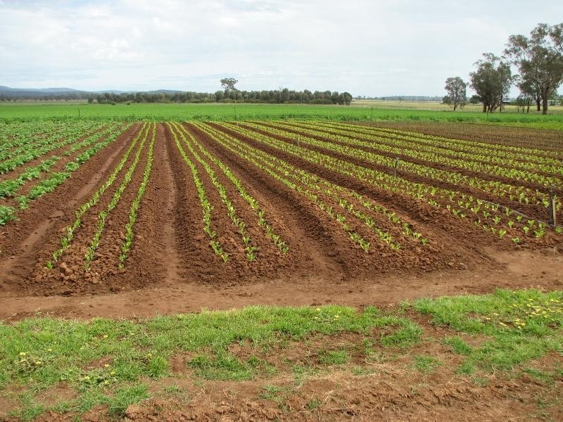 1826 North Logan Road, Cowra NSW 2794