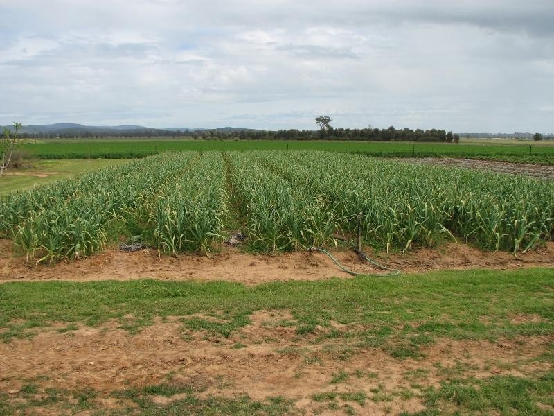 1826 North Logan Road, Cowra NSW 2794