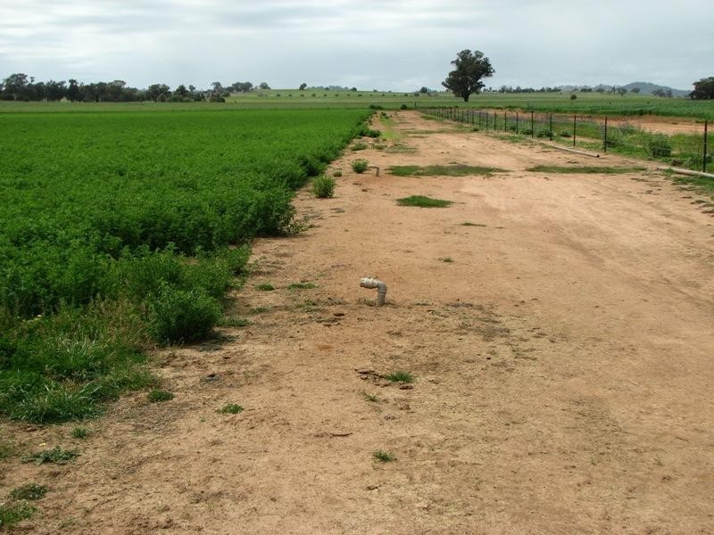 1826 North Logan Road, Cowra NSW 2794