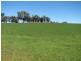 Grenfell NSW 2810