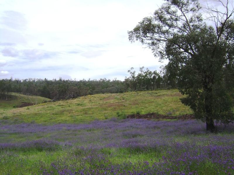 1760 Barryrenie Road, Cowra NSW 2794